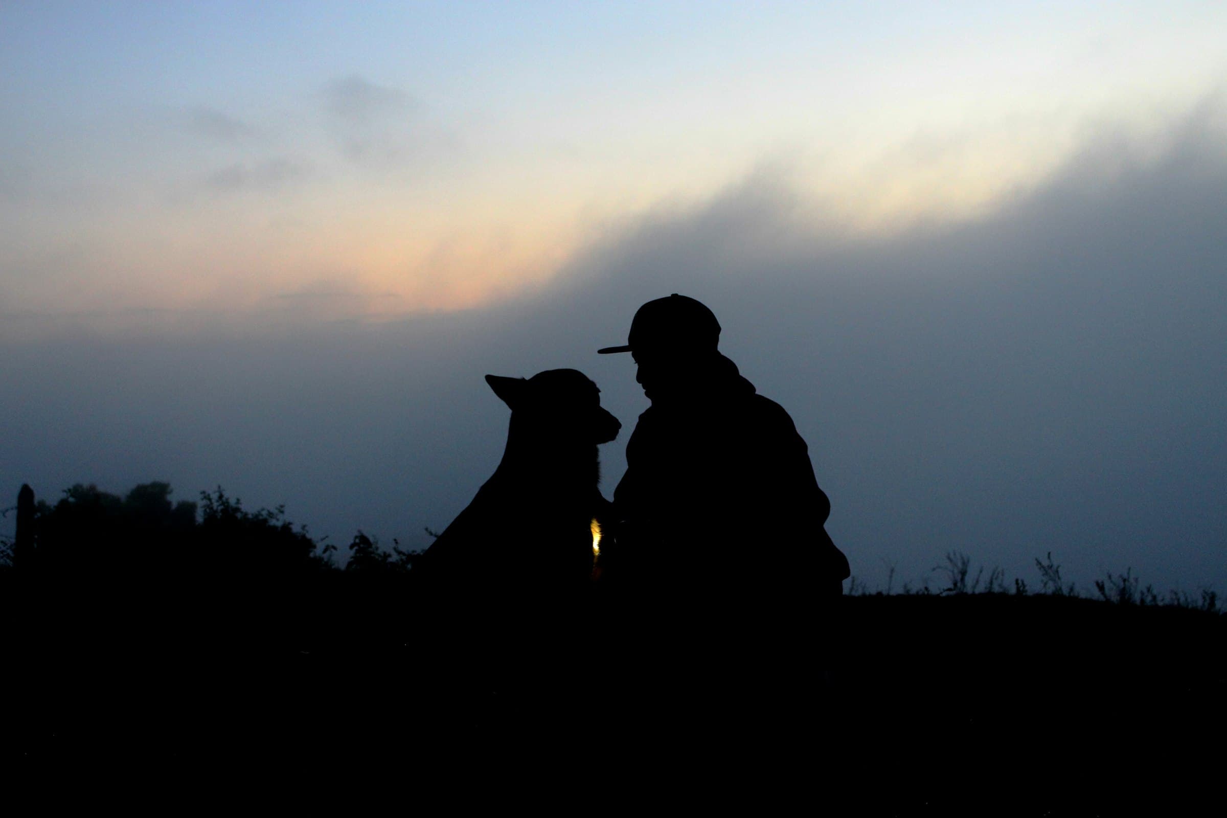 A handler and dog in silhouette, face to face at dusk